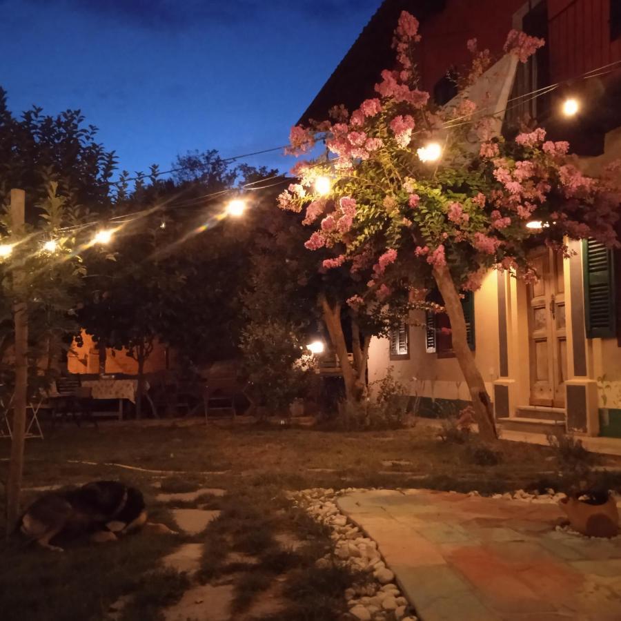 Pocoburro Ca' D'Arte Bed and Breakfast Montaldo Roero Exteriör bild